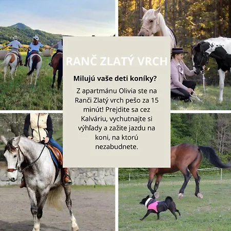 Olivia Relax & Adventure