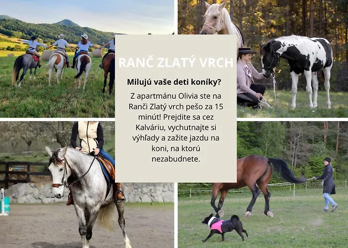 Olivia Relax & Adventure